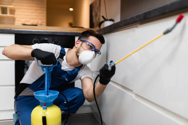 Best Rat Extermination Near Me  in Kenyon, MN