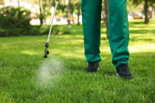 Best Mosquito Control Services  in Kenyon, MN